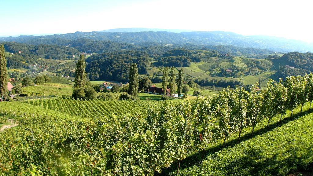 Weingut Rebenhof Moarhauser Hotel Ratsch an der Weinstraße Værelse billede